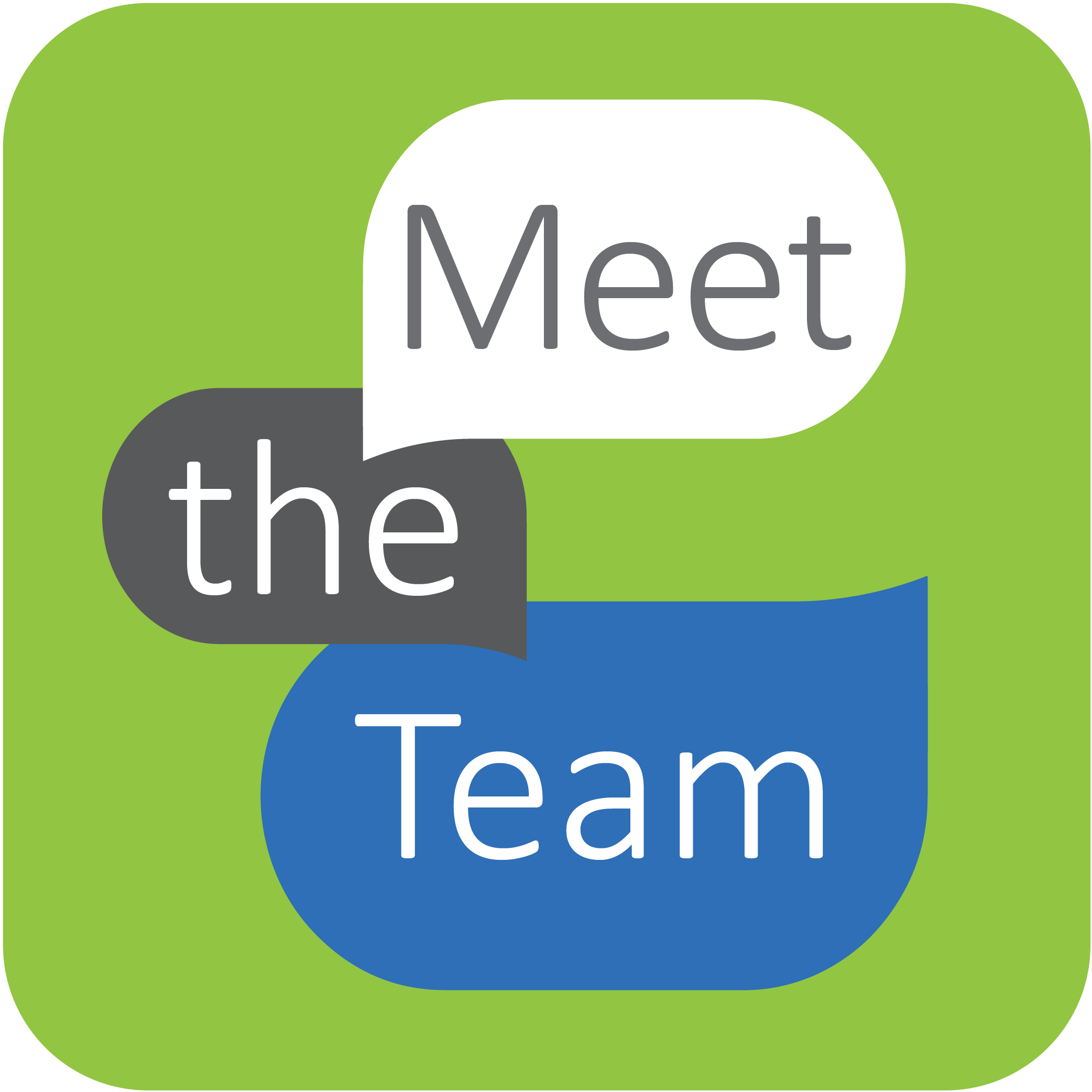 Meet the team graphic